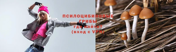 спиды Алексеевка