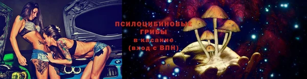 спиды Алексеевка
