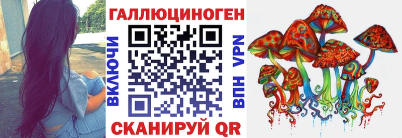 Галлюциногенные грибы Psilocybe Шатура