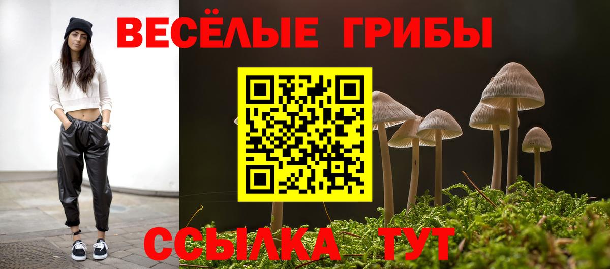 Псилоцибиновые грибы Cubensis  Псилоцибиновые грибы Psilocybine cubensis  Шатура  Вход с VPN 